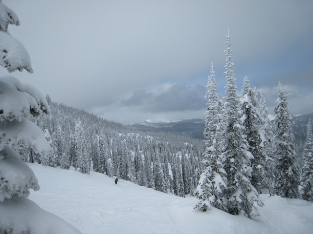 Whitefish at Big Mountain